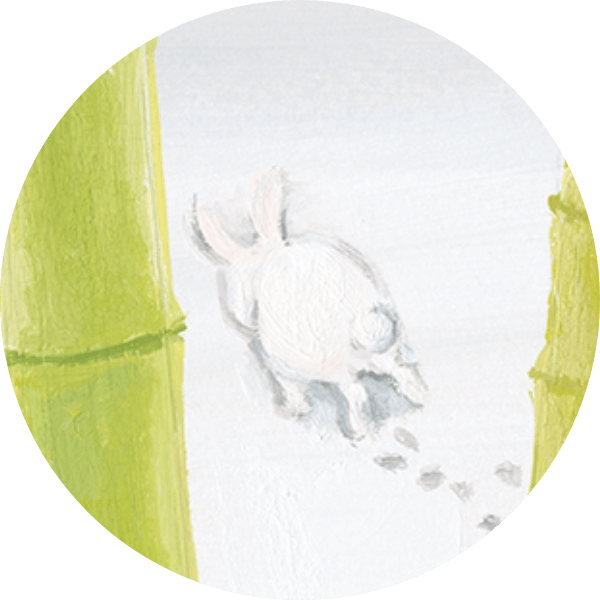 ニホンノウサギのようなウサギ