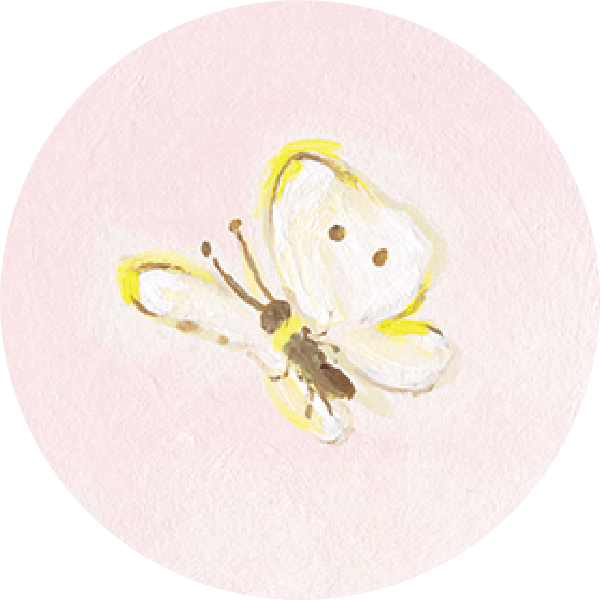 モンシロチョウのようなチョウ